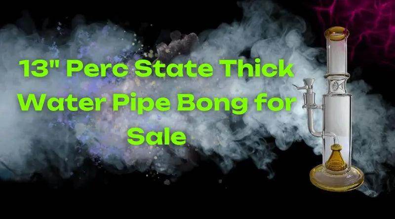 13" Perc State Thick Water Pipe Bong for Sale | Easy to Clean - SmokeMEGA