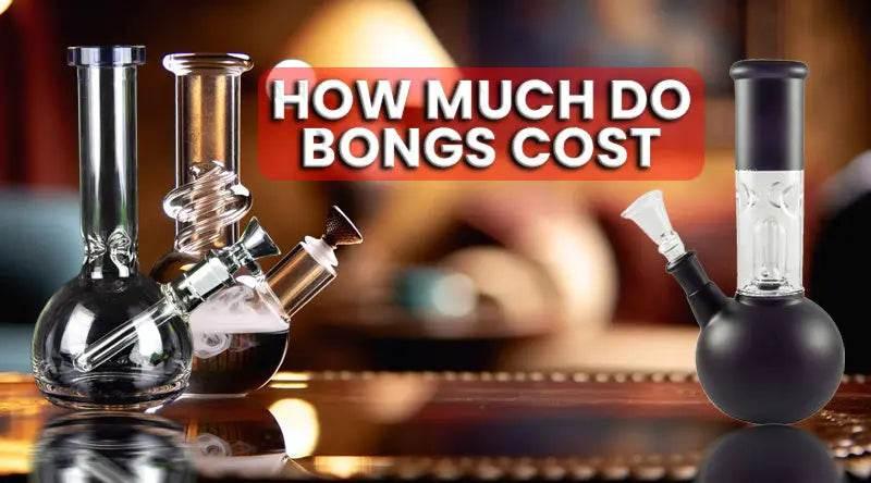 How Much Do Bongs Cost - SmokeMEGA
