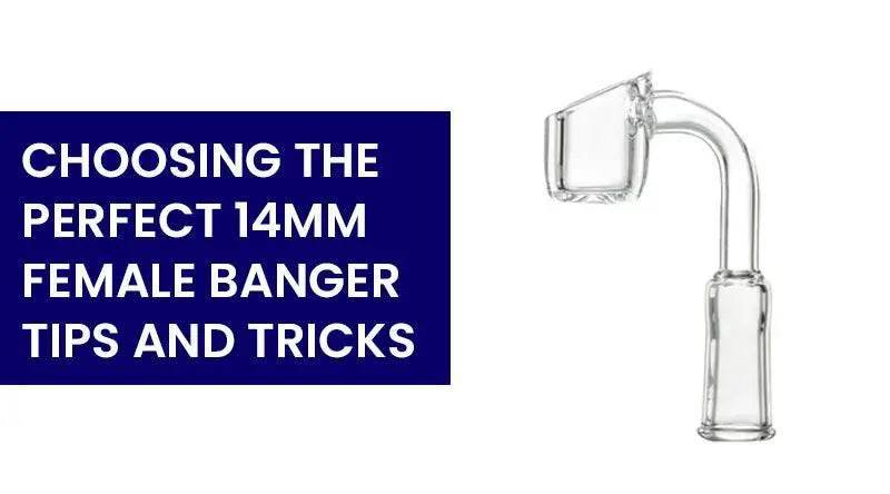 Choosing the Perfect 14mm Female Banger: Tips and Tricks - SmokeMEGA