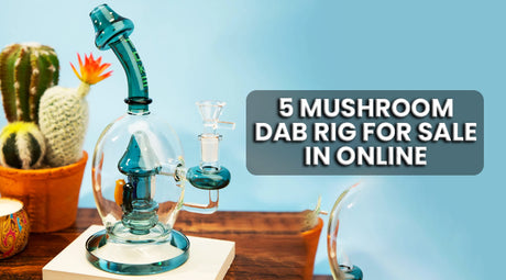 5 Mushroom Dab Rig For Sale In Online