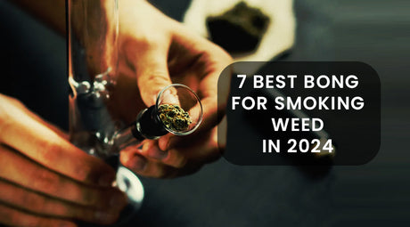 7 Best Bong For Smoking Weed In 2024
