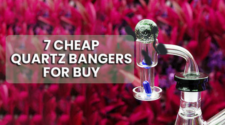 7 Cheap Quartz Bangers For Buy