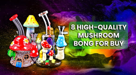 8 High-quality Mushroom Bong For Buy