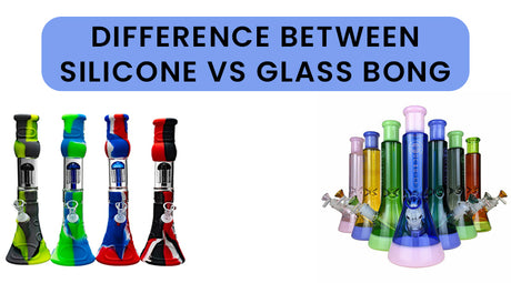 Difference Between Silicone Vs Glass Bong