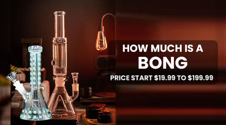 How Much Is A Bong | Price Start $19.99 To $199.99