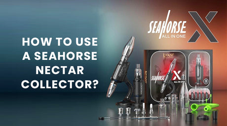How To Use A Seahorse Nectar Collector?