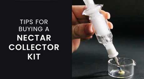 Tips For Buying A Nectar Collector Kit
