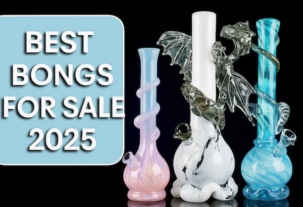 7 Best Bongs For Sale 2025 - SmokeMEGA