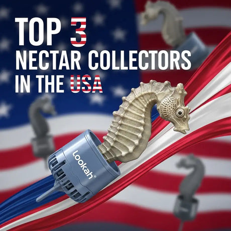 top nectar collectors in the USA