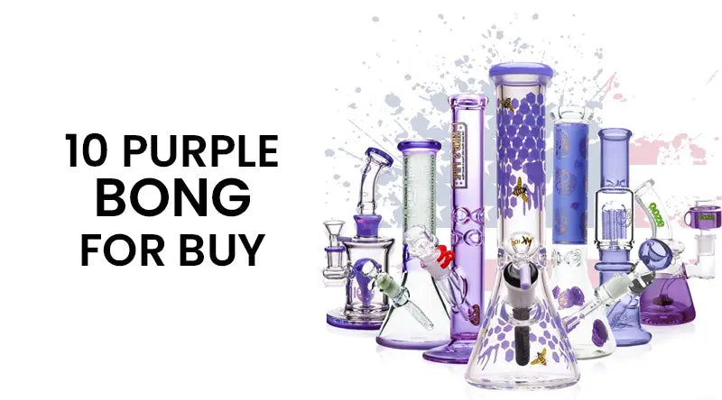 10 Purple Bong For Buy