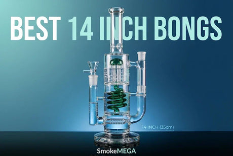 Best 14 Inch Bongs