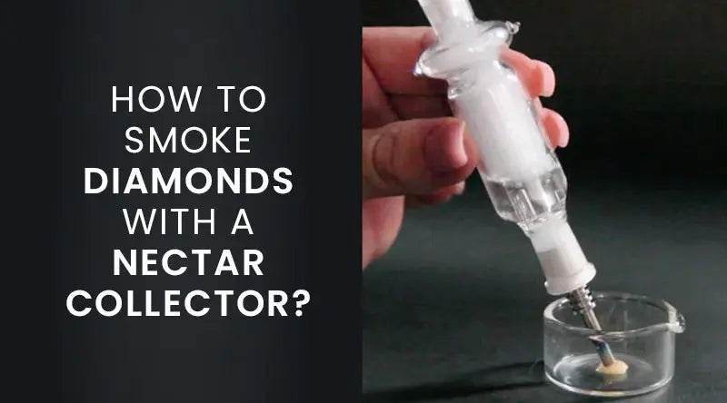 How to Use a Nectar Collector to Smoke Diamonds & Dabs
