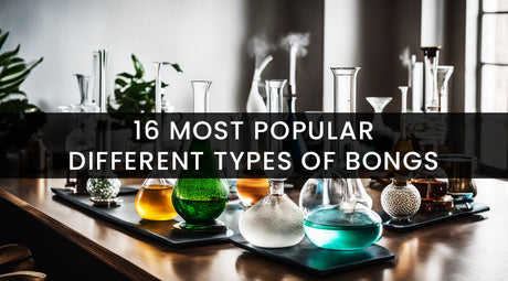 16 Most Popular Different Types Of Bongs