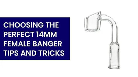 Choosing the Perfect 14mm Female Banger: Tips and Tricks - SmokeMEGA