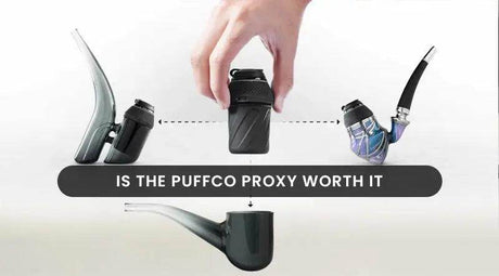 Is The Puffco Proxy Worth It? - SmokeMEGA