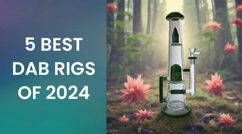 5 Best Dab Rigs Of 2024
