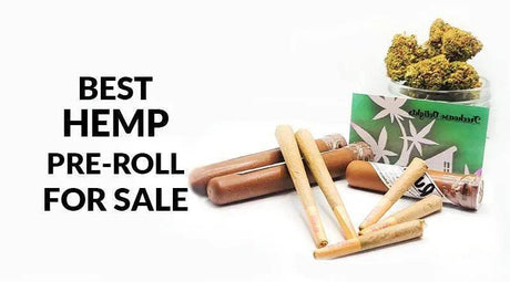 9 Best Hemp Pre-Roll For Sale 2025 - SmokeMEGA