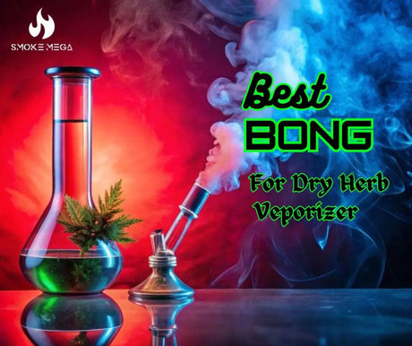 Best Type of Bong for Dry Herb Vape: A Complete Guide - SmokeMEGA