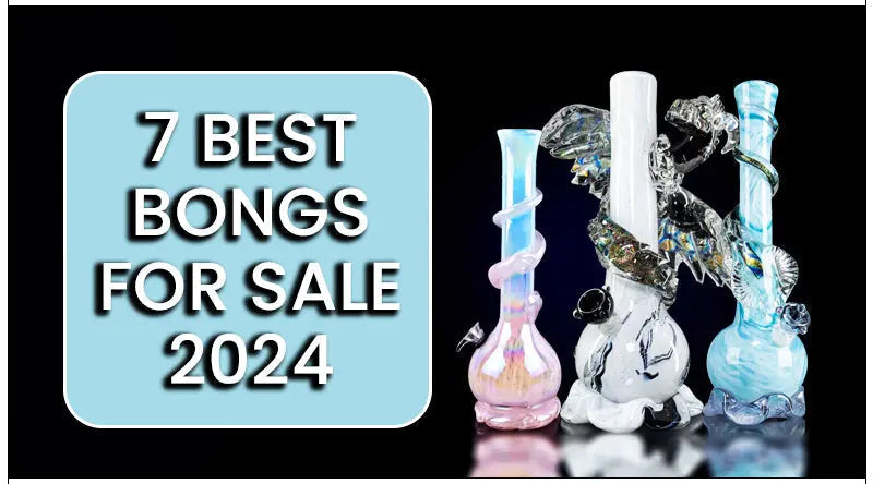 7 Best Bongs For Sale 2024