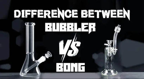 Difference Between Bubbler Vs Bong - SmokeMEGA