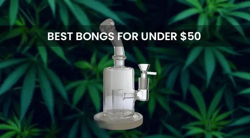 Best Bongs for Under $50 - SmokeMEGA