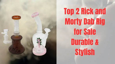 Top 2 Rick and Morty Dab Rig Kit for Sale | Durable & Stylish - SmokeMEGA