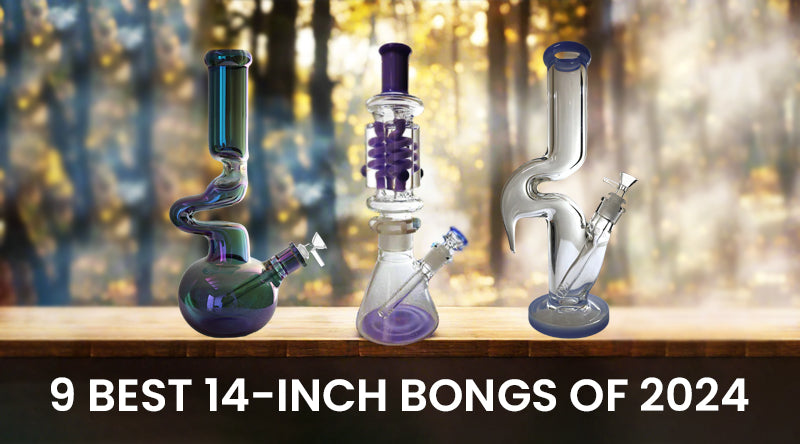 9 Best 14-inch Bongs Of 2024