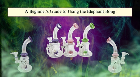 A Beginner's Guide to Using the Elephant Bong