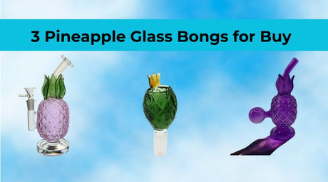 3 Pineapple Glass Bongs for Buy