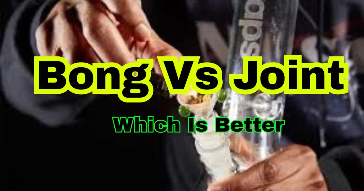 Bong vs Joint Which one is better?