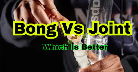 Bong vs Joint Which one is better?
