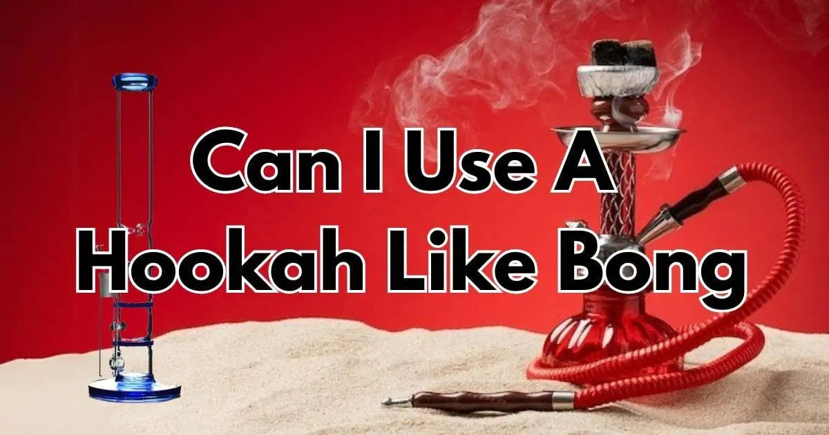 Can You Use A Hookah Like Bong-Learn In Details - SmokeMEGA
