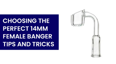 Choosing the Perfect 14mm Female Banger: Tips and Tricks