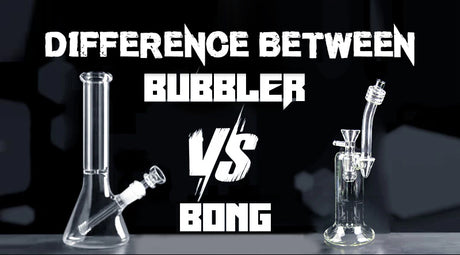 Difference Between Bubbler Vs Bong
