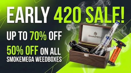 Early 420 Sale: Up to 70% Off Bongs, Rigs & Mystery Boxes