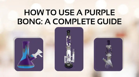 How to Use a Purple Bong: A Complete Guide & Usage Tips