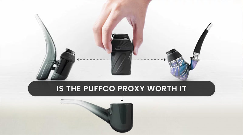 Is The Puffco Proxy Worth It?