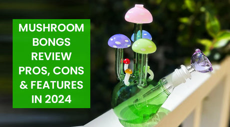 Mushroom Bongs Review: Pros, Cons & Features in 2024
