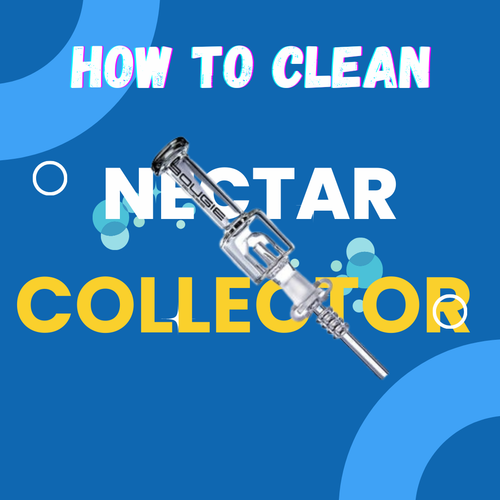 A nectar collector in the image and how to clean nectar collector was writter here