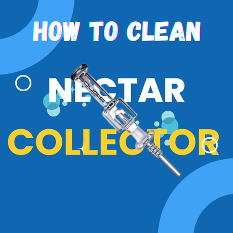 A nectar collector in the image and how to clean nectar collector was writter here