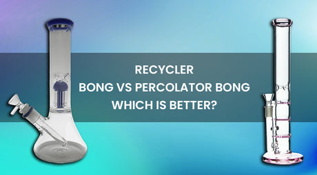 Recycler Bong vs. Percolator Bong: Which is Better?