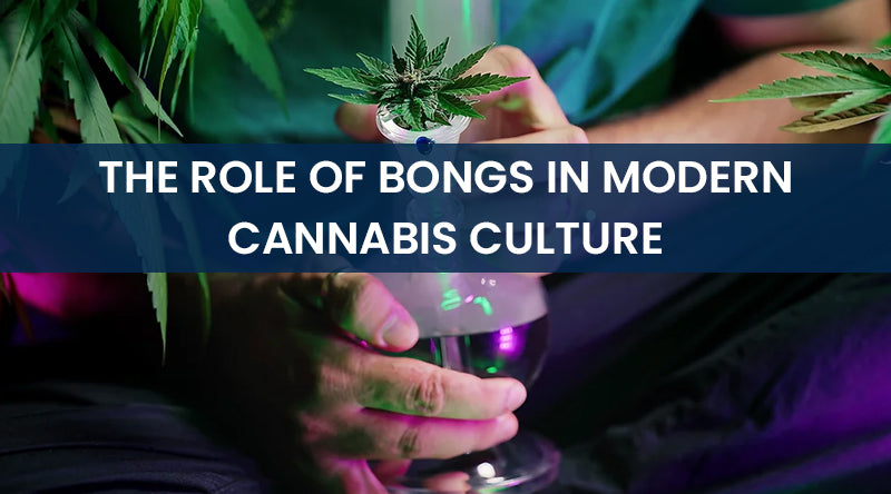 The Role of Bongs in Modern Cannabis Culture