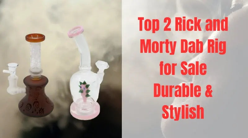 Top 2 Rick and Morty Dab Rig for Sale | Durable & Stylish