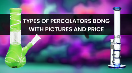 Types Of Percolators Bong With Pictures And Price