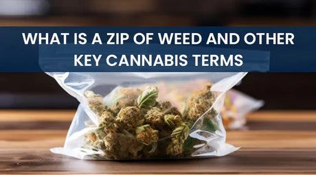 What-is-a-Zip-of-Weed-and-Other-Key-Cannabis-Terms SmokeMEGA