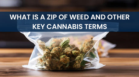 What is a Zip of Weed and Other Key Cannabis Terms