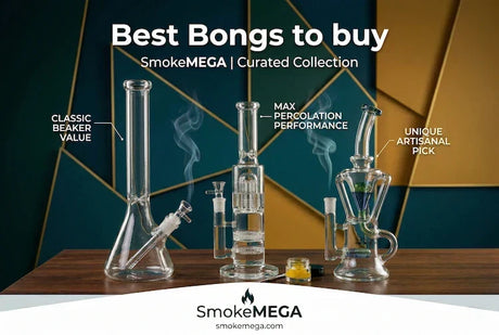 best bongs you can buy | SmokeMEGA