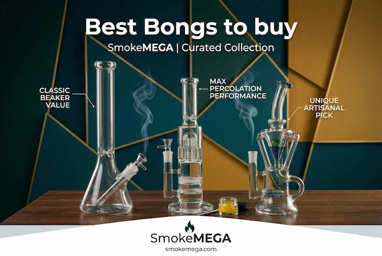 best bongs you can buy | SmokeMEGA