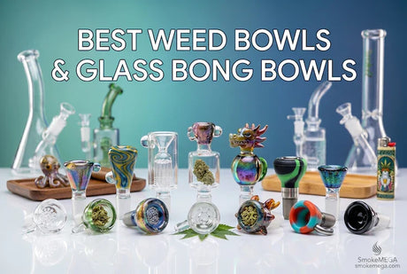Best Weed Bowls & Glass Bowls for your Bong