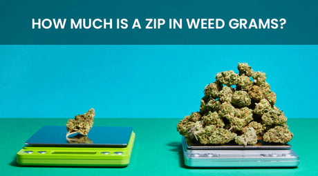 How Much Is A Zip In Weed Grams?